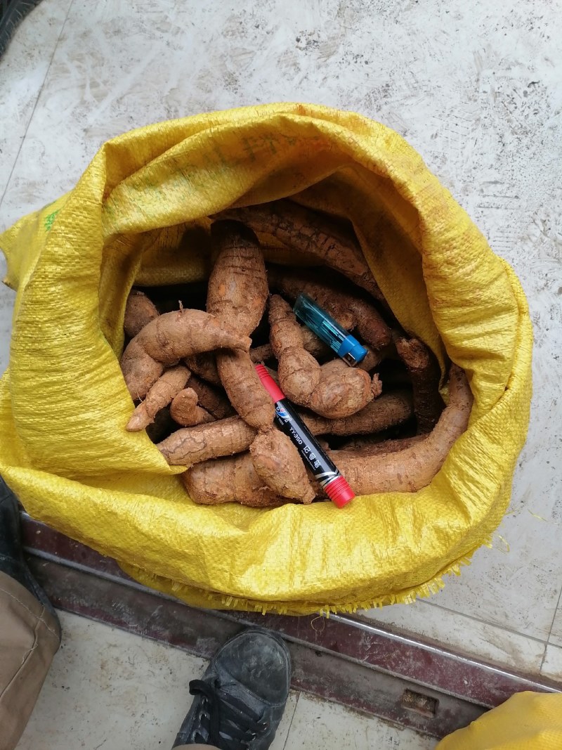 牛大力批发需要的联系我