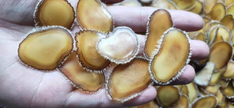 鹿茸腊片黄金色腊片鹿茸精华位置口服10克发货包邮