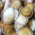 鹿茸腊片黄金色腊片鹿茸精华位置口服10克发货包邮