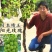 嫁接葡萄苗.蓝宝石阳光玫瑰品种齐全