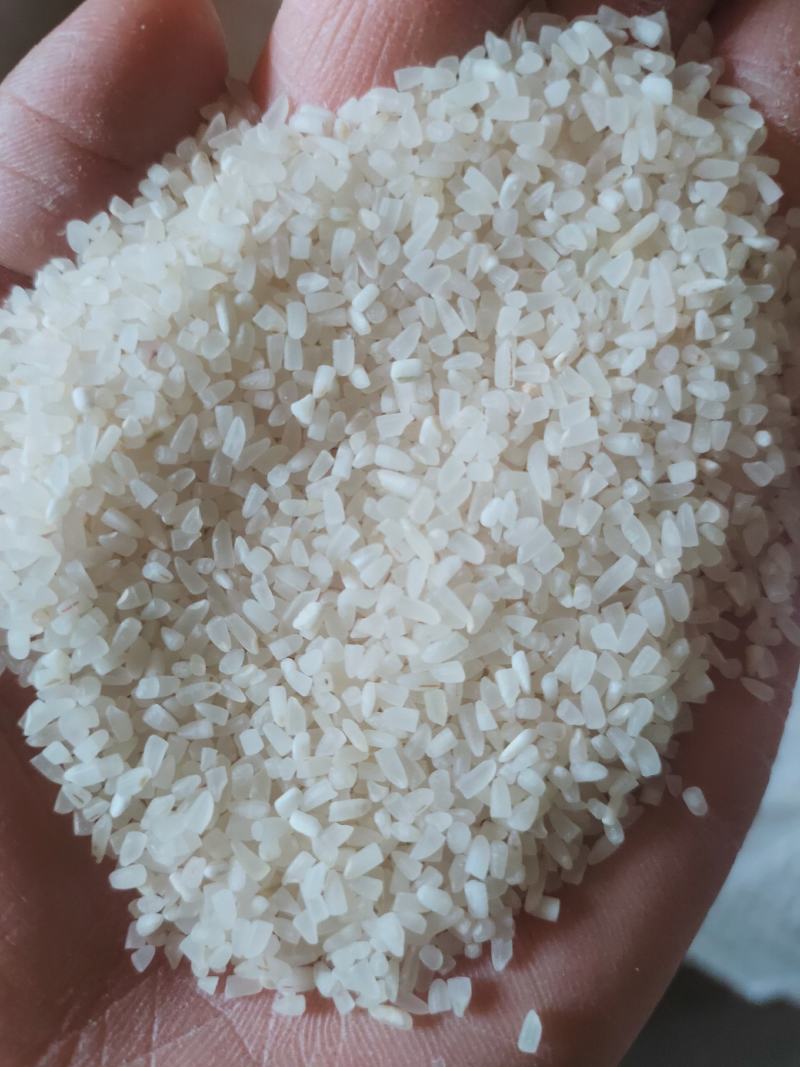 碎米，酒碎米桂林市大量有售50斤包100斤包都可选择