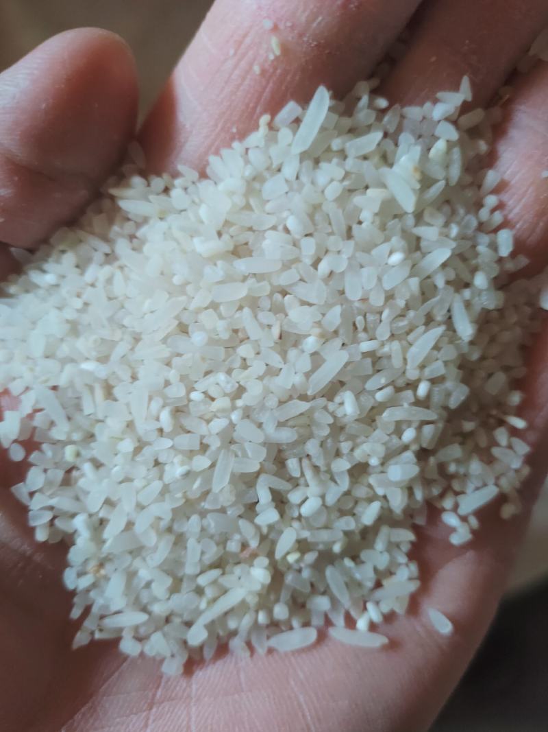 碎米，酒碎米桂林市大量有售50斤包100斤包都可选择