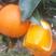 伦晚脐橙花果同树，量大优惠，大量供应，价钱实惠