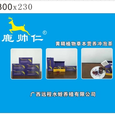 鹿帅仁牌黄精植物草本营养冲泡