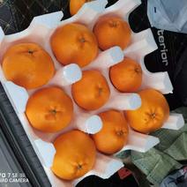 重庆忠县粑粑柑，甘甜可口，皮色光滑，大量上市中。