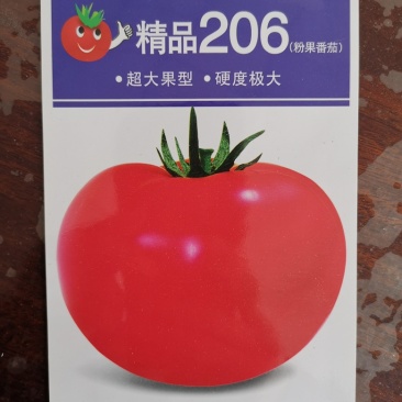【精品】江苏种子番茄种子日本进口粉果番茄种子