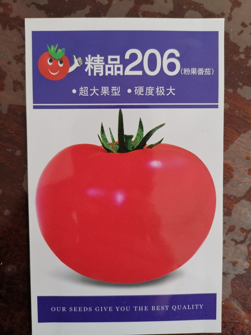 【精品】江苏种子番茄种子日本进口粉果番茄种子