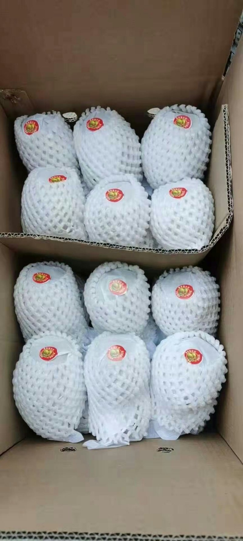 供应库尔勒香梨礼品盒装口感细甜无渣果面干净