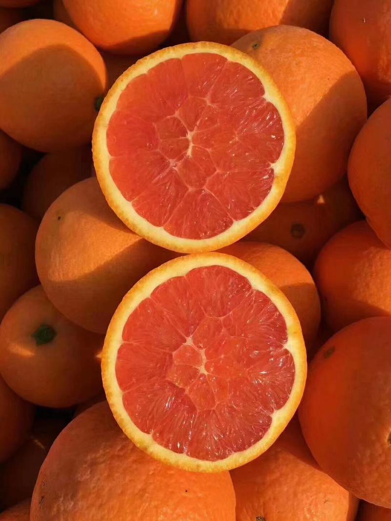 中华红脐橙70~75mm自家果园，农户一手货源