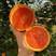 中华红脐橙70~75mm自家果园，农户一手货源