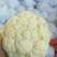 花菜,实花颜色白净,紧实。。。。。。。。