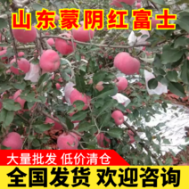 【红富士苹果】山东红富士苹全国清仓热卖欢迎批发客商