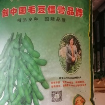 新开心绿毛豆种子，大荚，颜色绿，