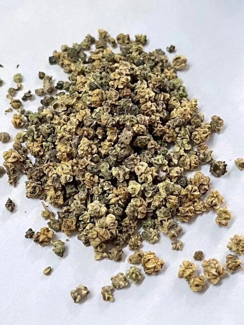 甜菜根种子红甜菜紫红菜头芽苗菜
