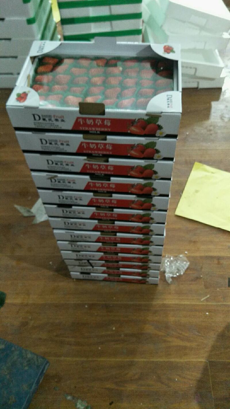 红颜草莓精品包装货源充足口感甜可供蛋糕店电商超市