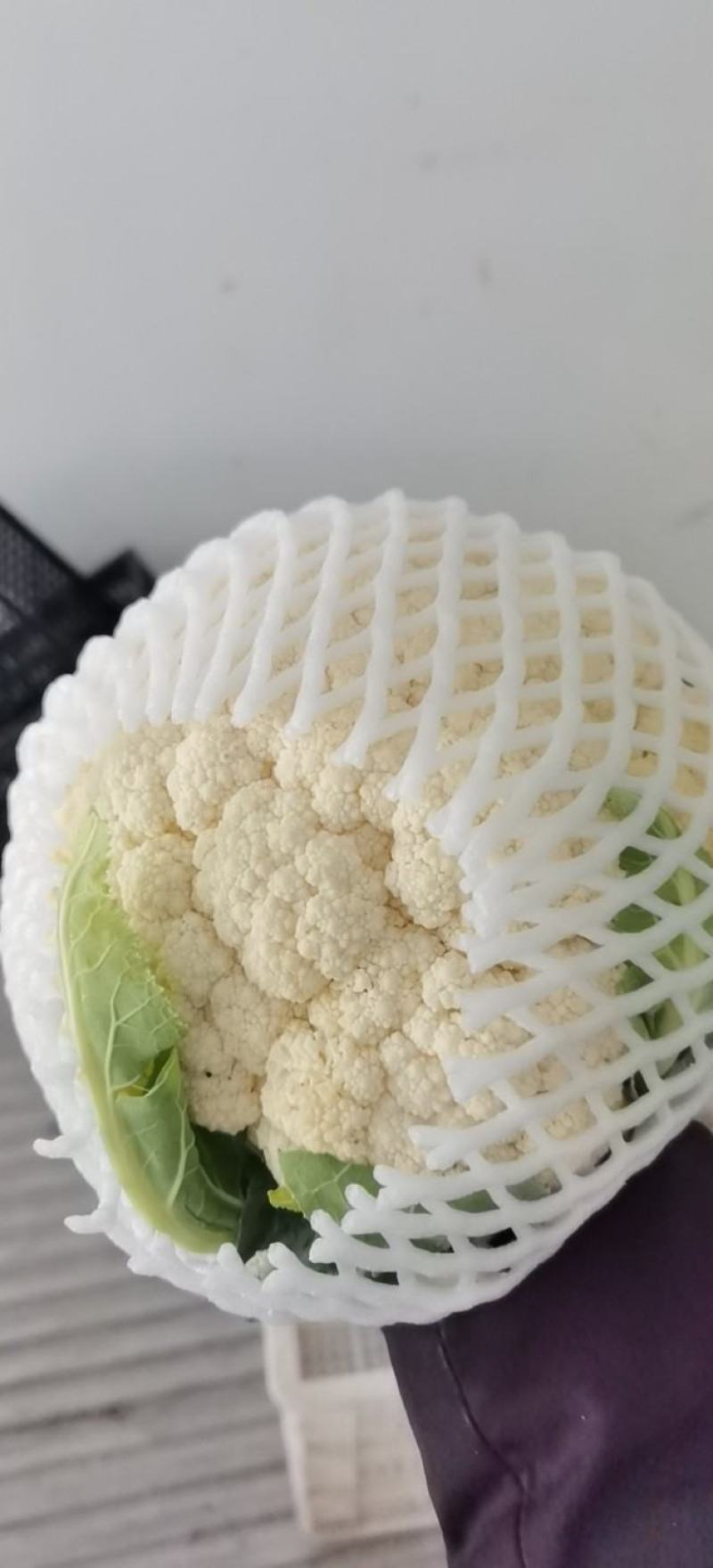 精品各种蔬菜，四季有货