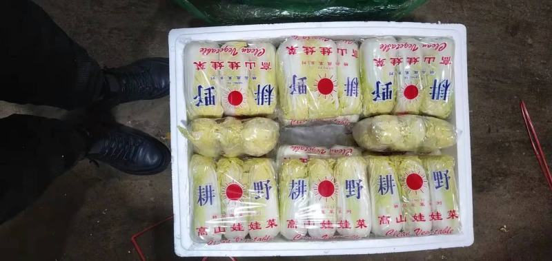 精品各种蔬菜，四季有货