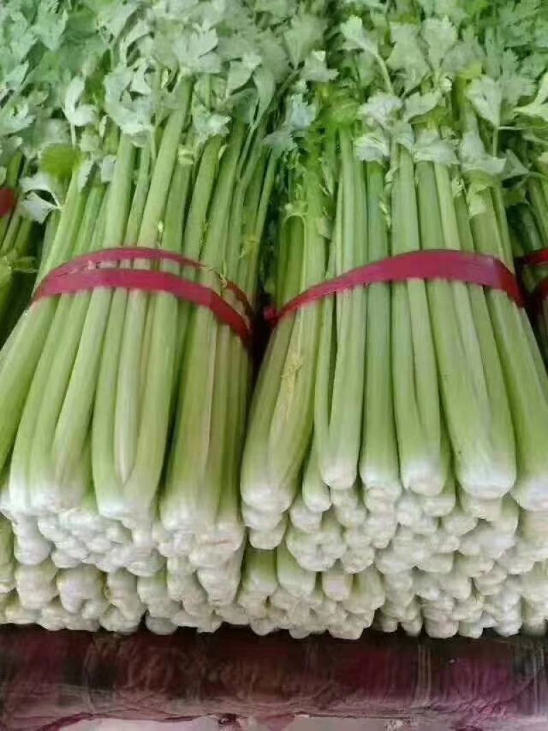 精品各种蔬菜，四季有货