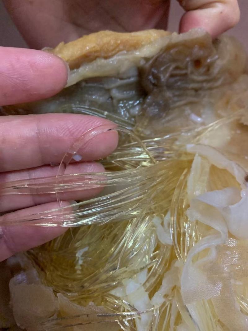 泡发率特别好又好吃的鱼翅一斤3个左右
