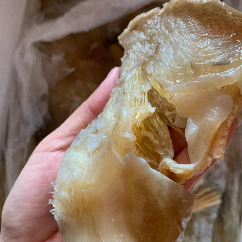 泡发率特别好又好吃的鱼翅一斤3个左右