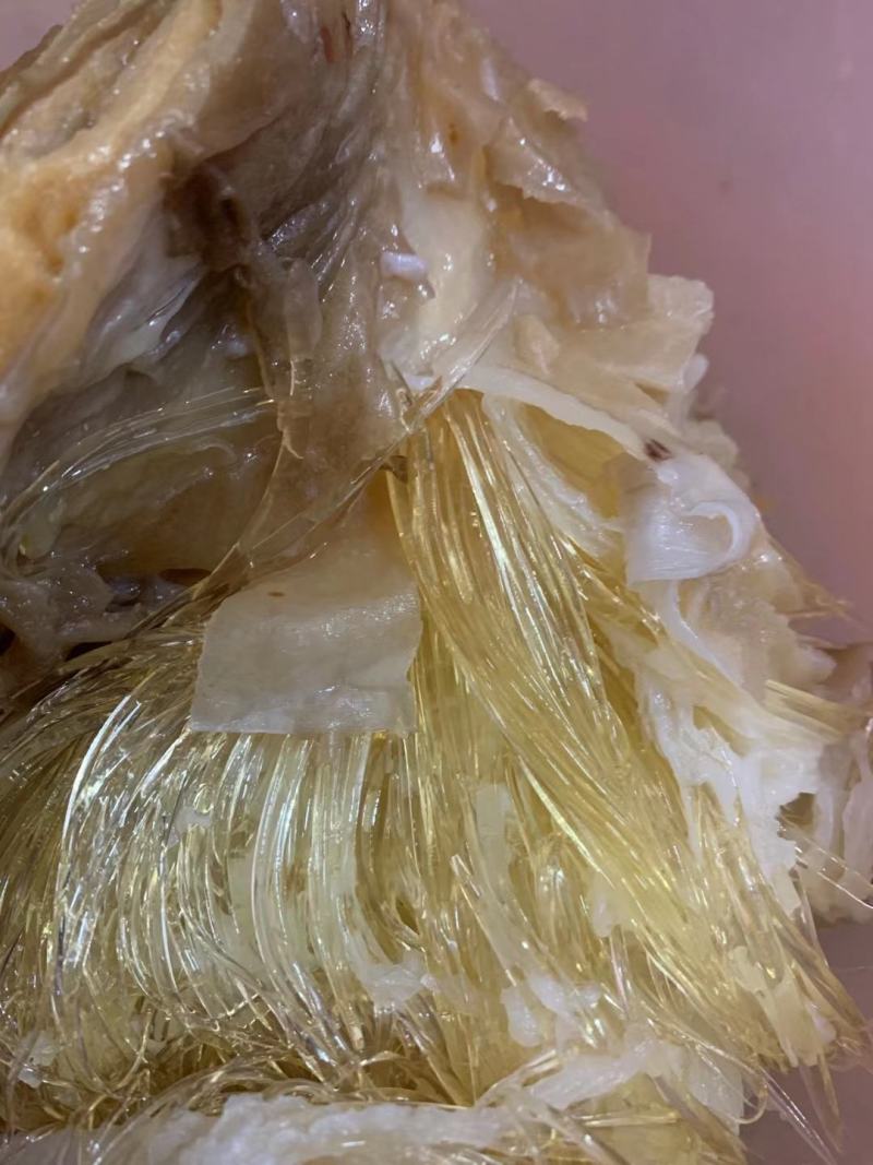 泡发率特别好又好吃的鱼翅一斤3个左右
