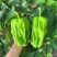 辽宁海城精品麻辣椒大量上，一手货源现摘现发