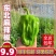 辽宁海城精品麻辣椒大量上，一手货源现摘现发