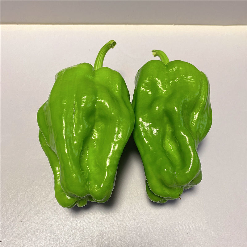 辽宁海城精品麻辣椒大量上，一手货源现摘现发