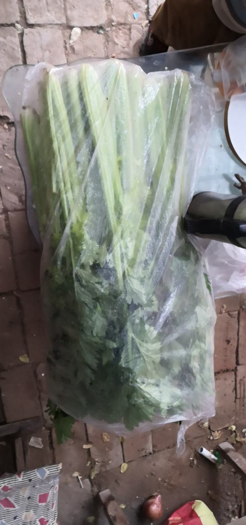 【热销】芹菜，山东济南商河芹菜，质优价廉，产地一手货源