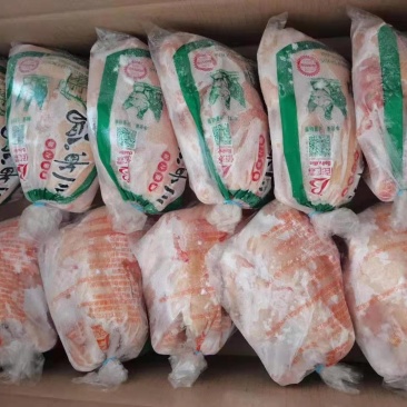 三黄鸡，大量现货~~~价格便宜~~~随时发货