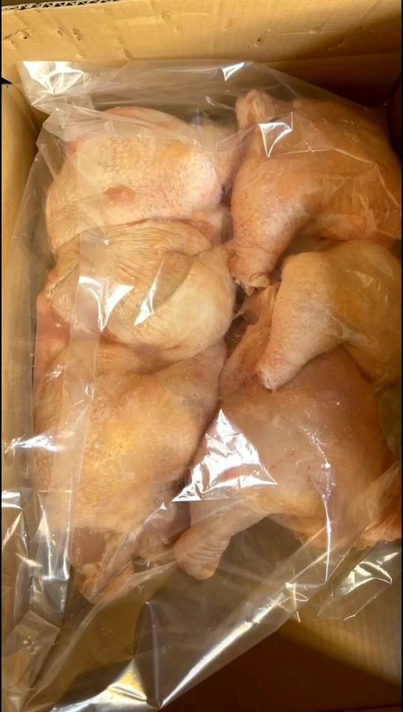 三黄鸡，大量现货~~~价格便宜~~~随时发货