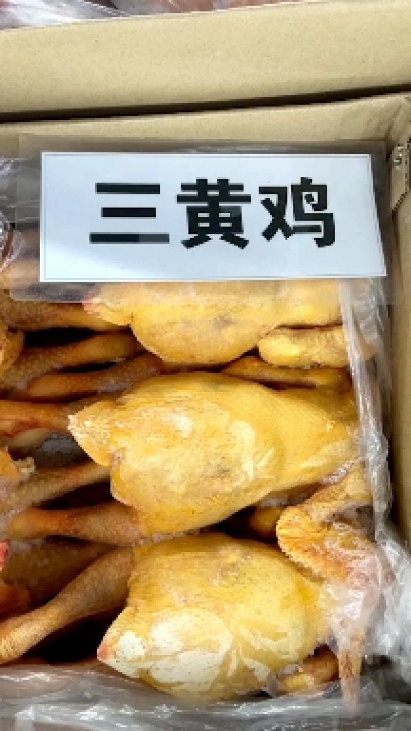 三黄鸡，大量现货~~~价格便宜~~~随时发货