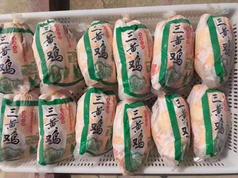 三黄鸡，大量现货~~~价格便宜~~~随时发货