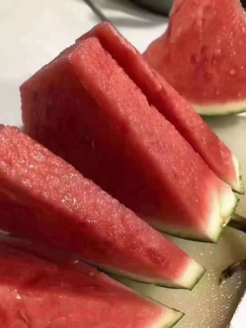 【推荐：山西精品美都西瓜大量上市中产地直发量大从