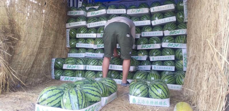 【推荐：山西精品美都西瓜大量上市中产地直发量大从