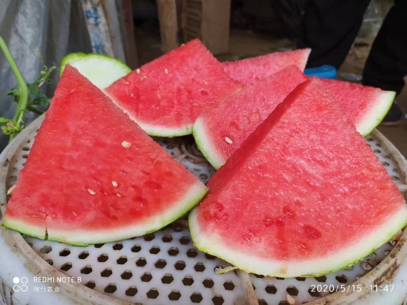 【推荐：山西精品美都西瓜大量上市中产地直发量大从