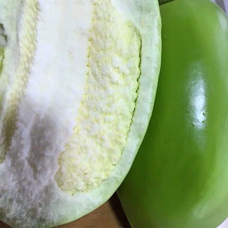 辽宁海城精品茄子大量上市，一手货源发往全国，好，质量