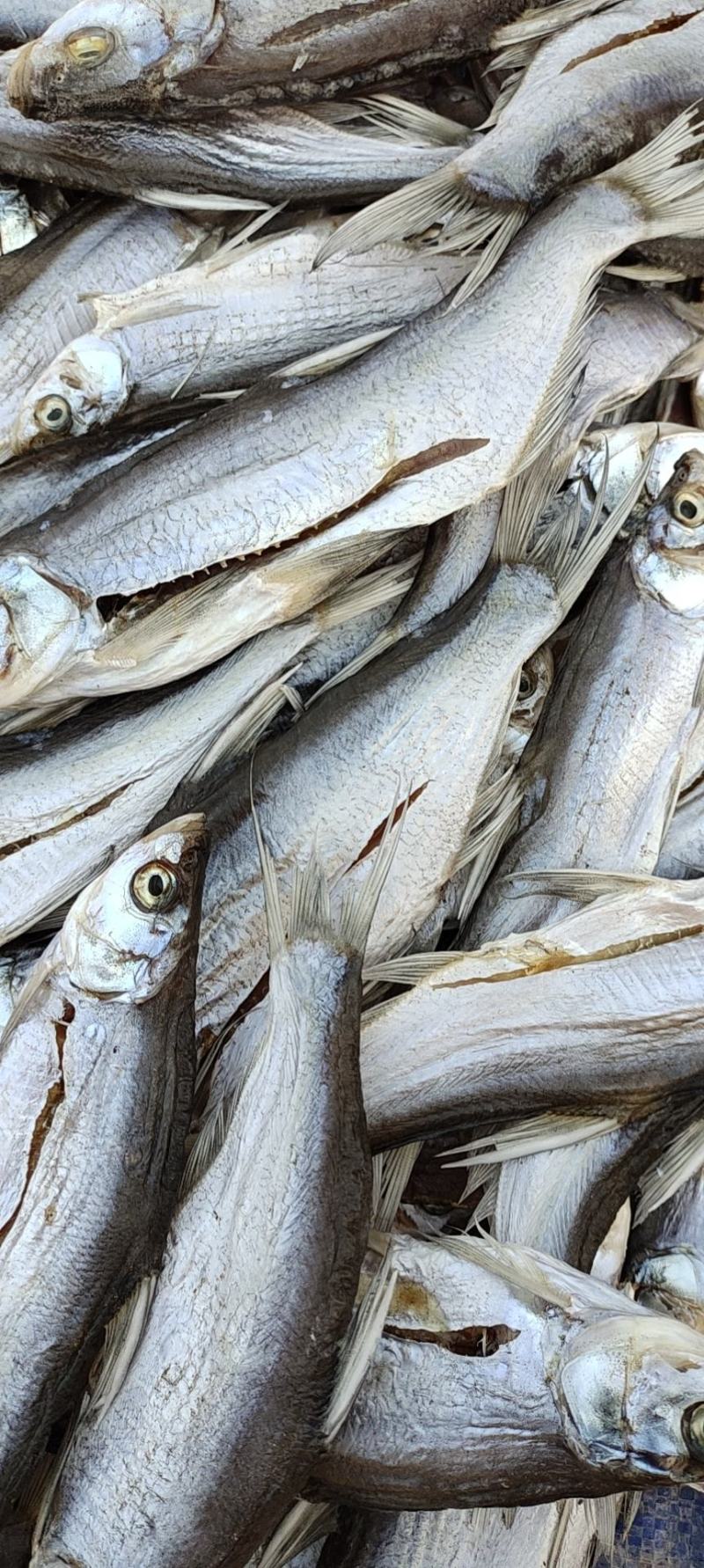 翘嘴白鱼干咸鱼干白条鱼河鱼干15-20厘米