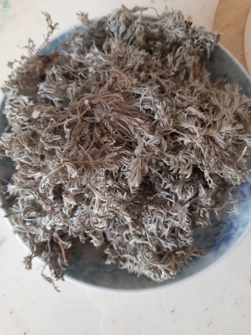 野生菌陈，整颗绵菌陈草，干货，