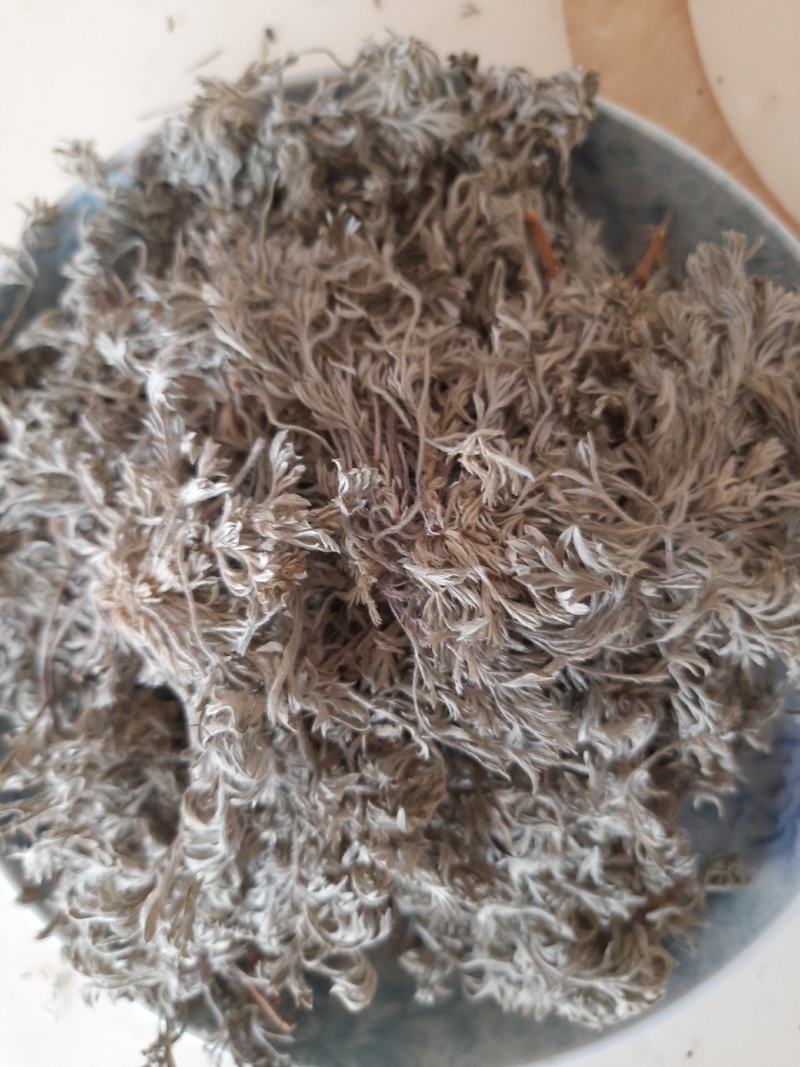 野生菌陈，整颗绵菌陈草，干货，