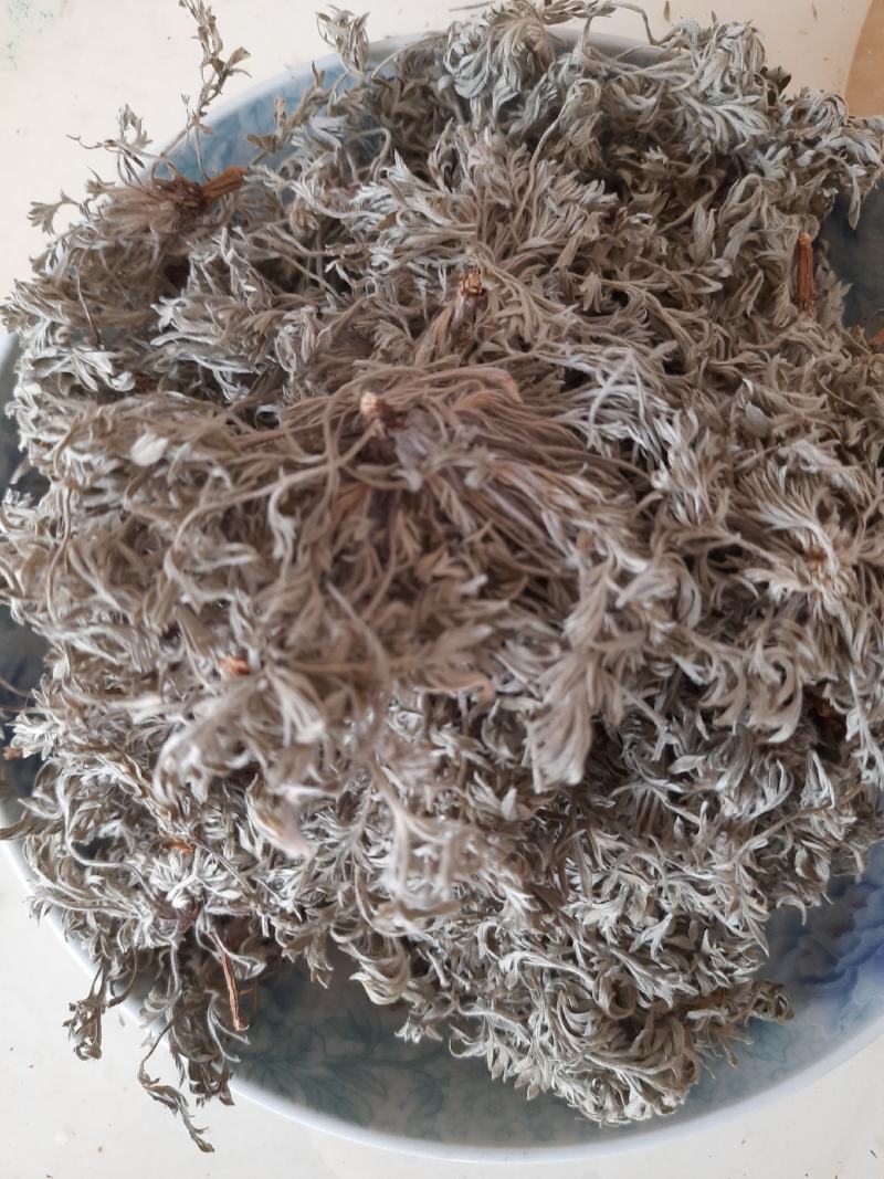 野生菌陈，整颗绵菌陈草，干货，