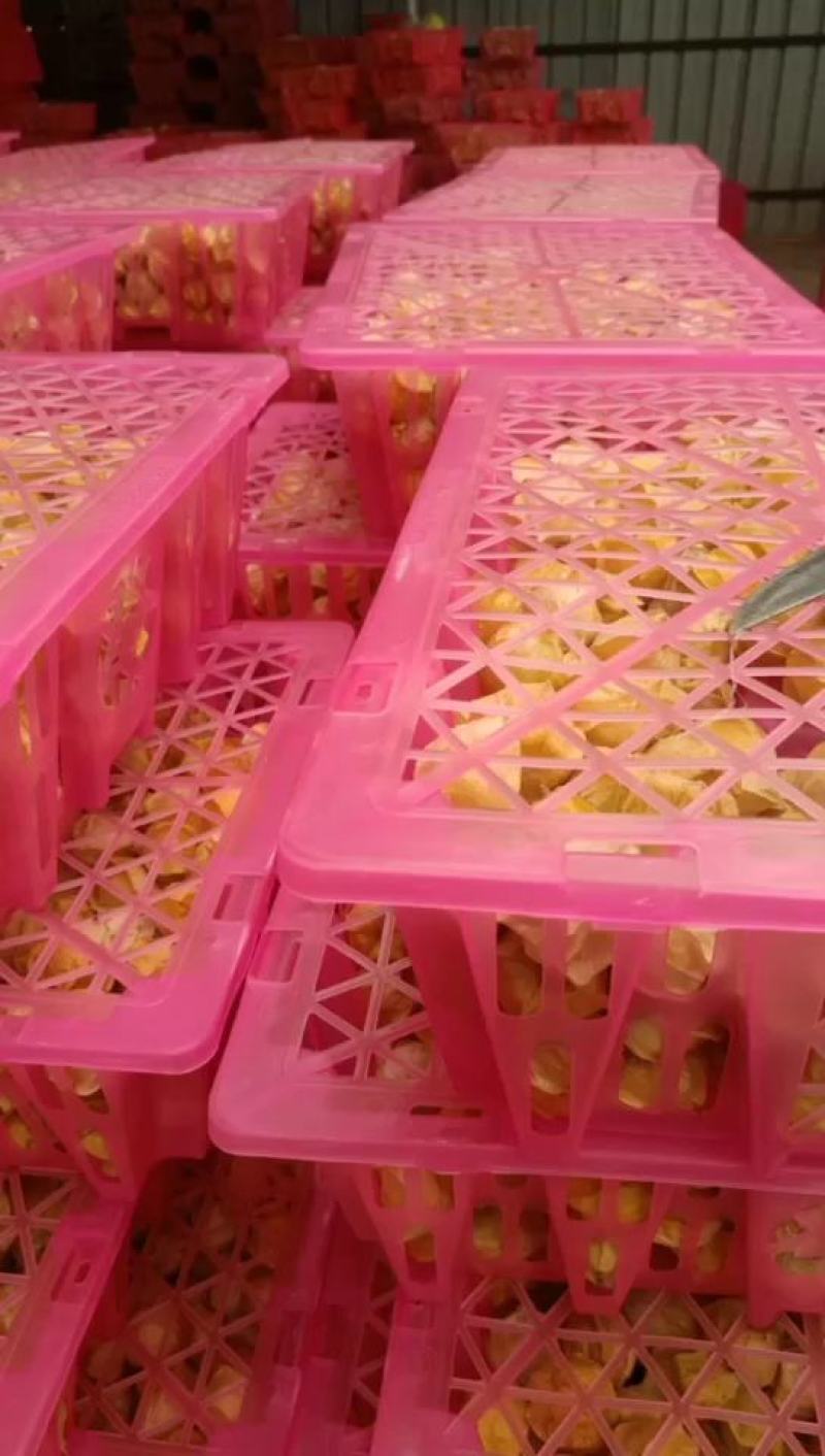 菇娘果新鲜现摘应季水果超市供货专业市场批发质量好欢迎合作