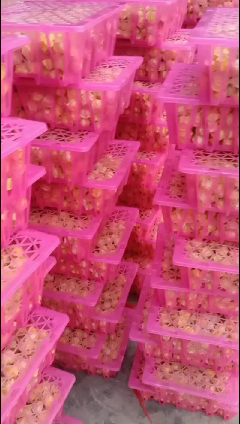 菇娘果新鲜现摘应季水果超市供货专业市场批发质量好欢迎合作