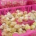 菇娘果新鲜现摘应季水果超市供货专业市场批发质量好欢迎合作