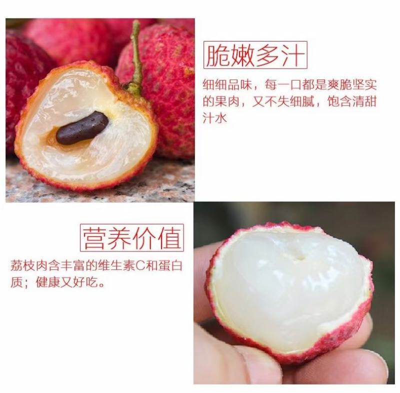新品观音绿荔枝冰荔枝苗仙进奉荔枝苗晚熟品种带土带叶发货