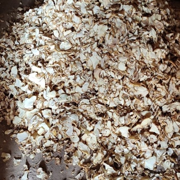 滇黄精_云南红花黄精_黄精干生片