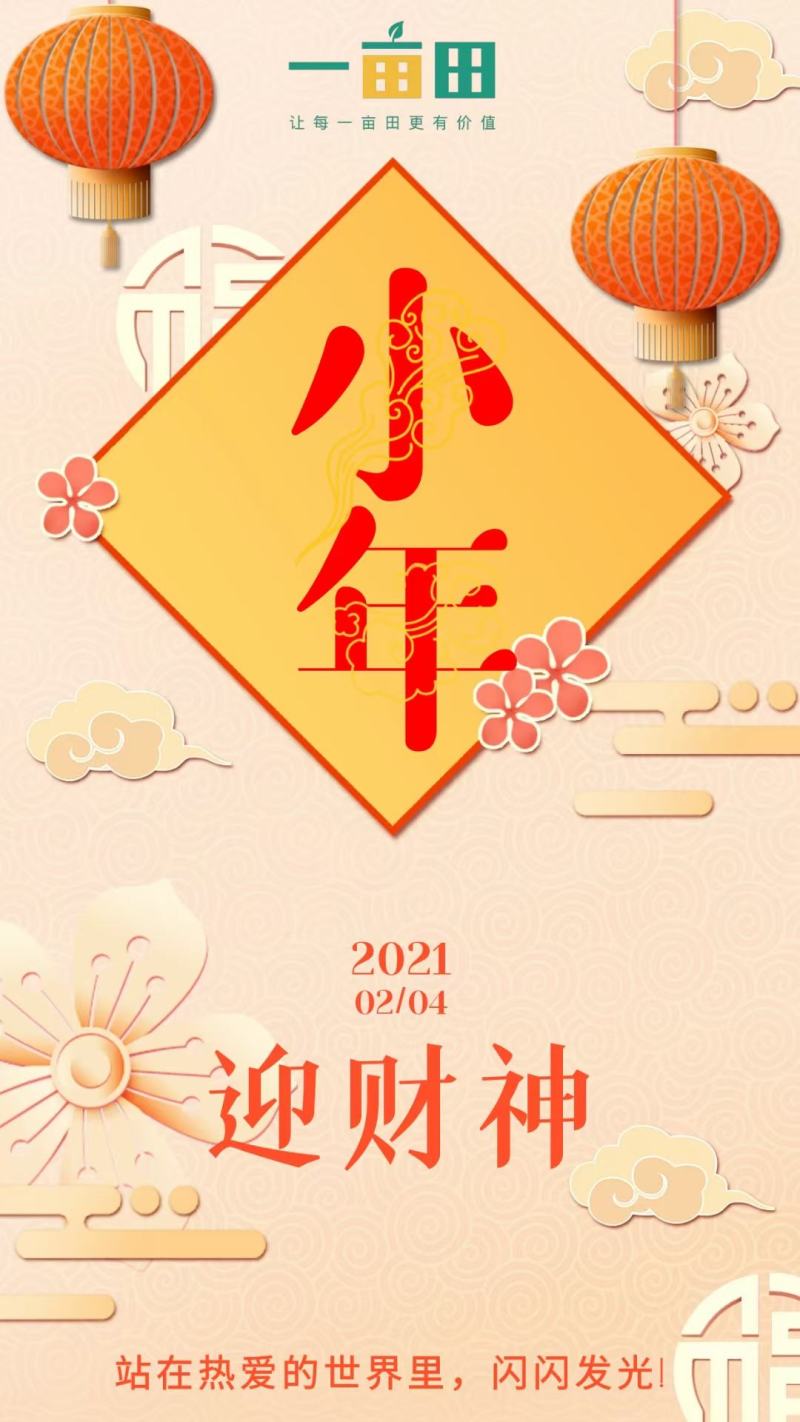 新疆若羌灰枣圈零食大礼包