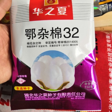 鄂杂棉32转基因抗虫杂交棉