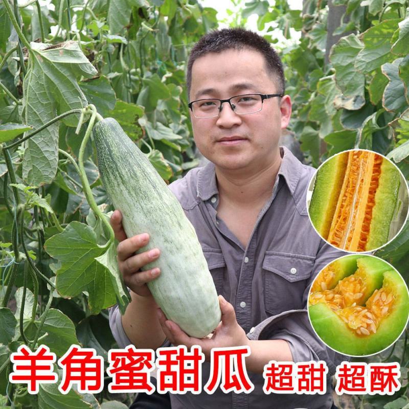 【一件代发】羊角蜜瓜5斤水果甜瓜羊角蜜瓜香脆瓜整箱羊角蜜