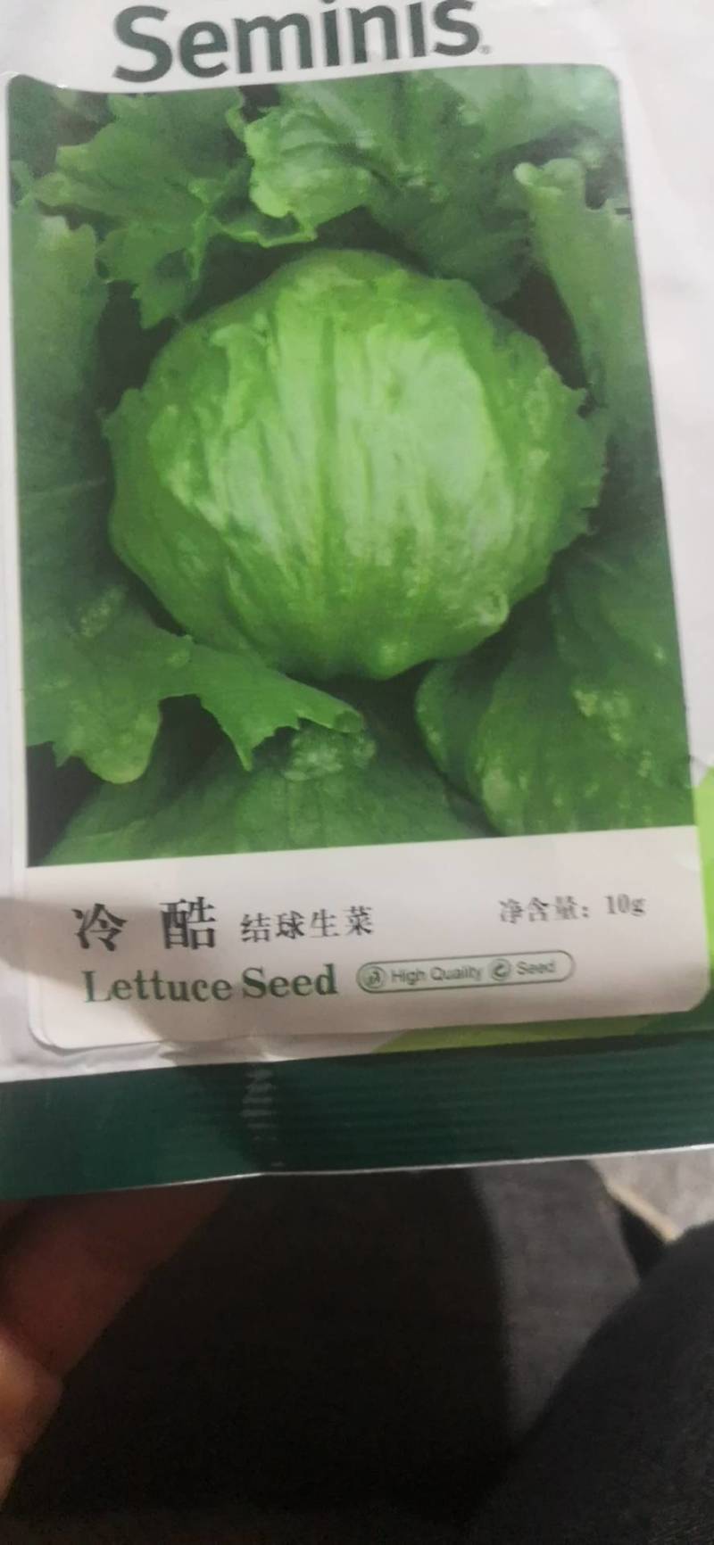 意大利生菜苗，茶氏育苗基地常年供应各种各样蔬菜苗